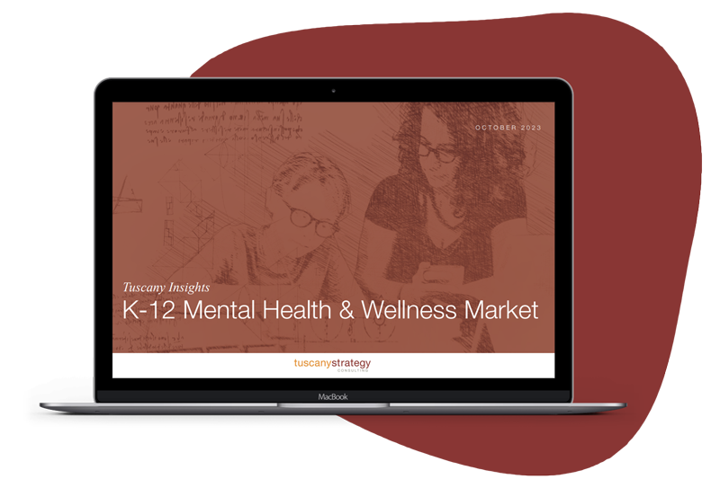 K12 Mental Health Report